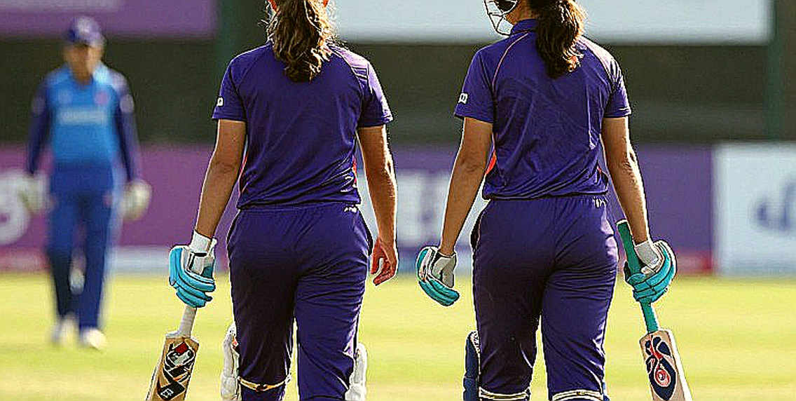 The Paddy That Became Cricket The Paddy That Became Cricket